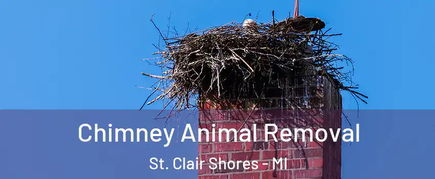 Chimney Animal Removal St. Clair Shores - MI