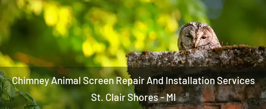 Chimney Animal Screen Repair And Installation Services St. Clair Shores - MI