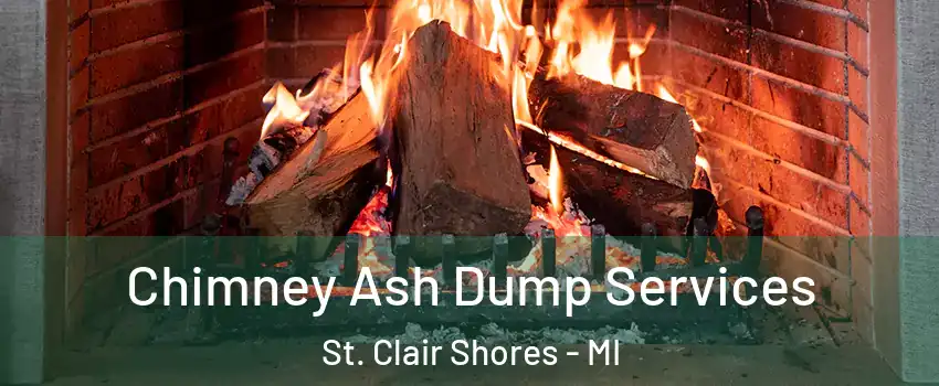  Chimney Ash Dump Services St. Clair Shores - MI