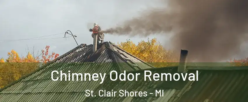  Chimney Odor Removal St. Clair Shores - MI