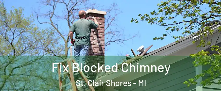  Fix Blocked Chimney St. Clair Shores - MI