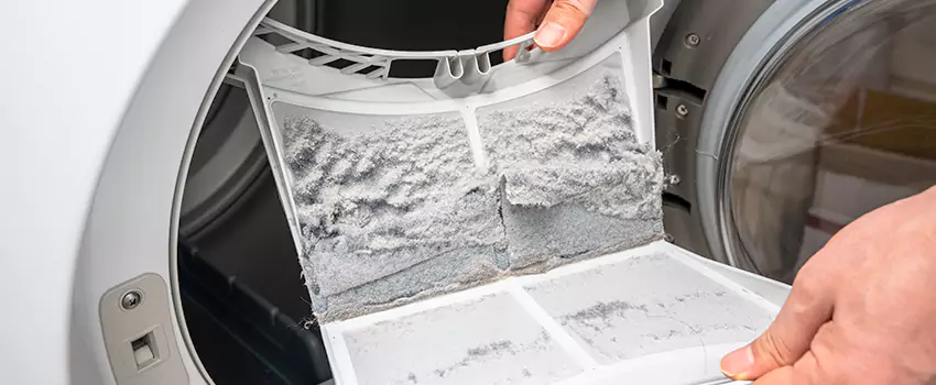 Best Dryer Lint Removal Company in St. Clair Shores, Michigan