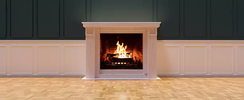 Napoleon Electric Fireplaces Inspection Service in St. Clair Shores, Michigan