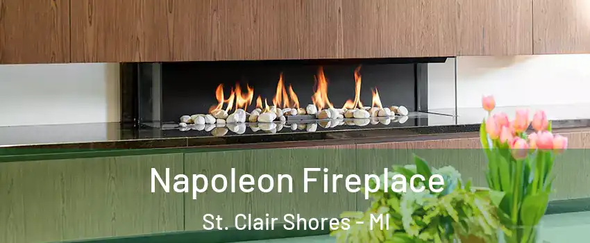  Napoleon Fireplace St. Clair Shores - MI